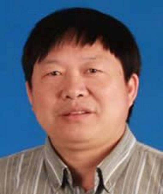 陈少华（华中科技大学教师）