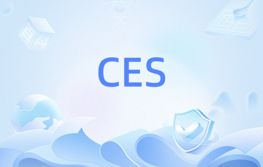 CES(电路仿真业务(Circuit Emulation Service))
