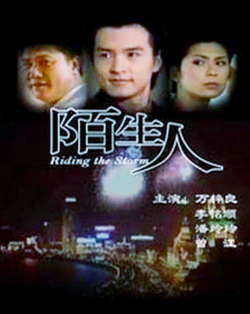 陌生人(1999年蔡晶盛等执导的电视剧)