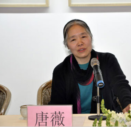 唐薇(清华大学美术学院教授)