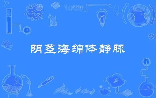 阴茎海绵体静脉