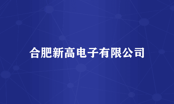 合肥新高电子有限公司