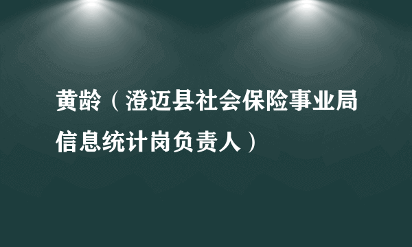 黄龄（澄迈县社会保险事业局信息统计岗负责人）
