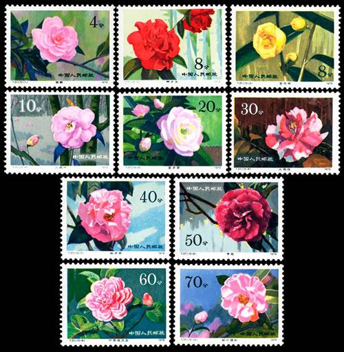 云南山茶花(1979年发行的特种邮票)