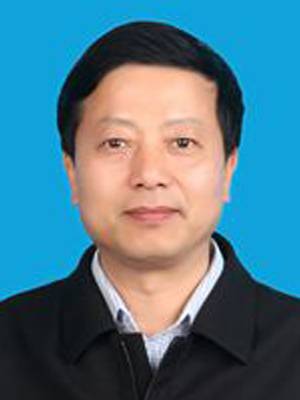 李友好(安徽省枞阳县政府党组成员、办公室主任)