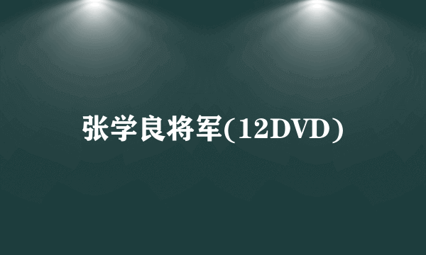 张学良将军(12DVD)