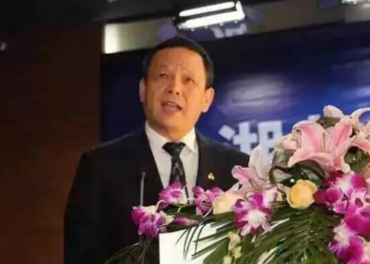 陈志福（武汉竹叶山集团股份公司总经理、董事长）