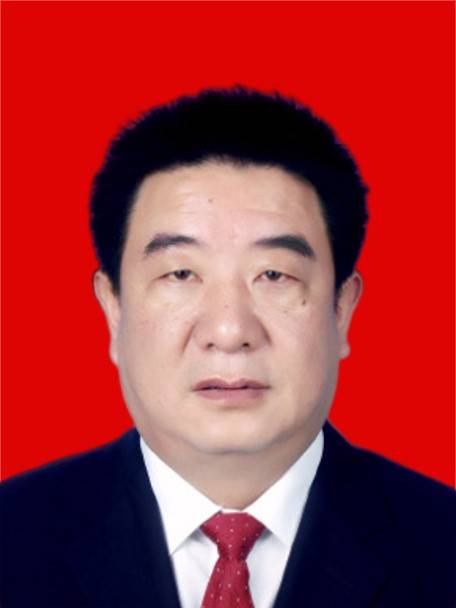 王贤良(安康市中心城市建设投资开发有限公司党委副书记、董事长)