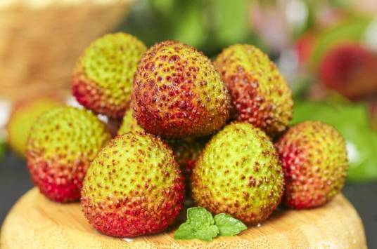 妃子笑（无患子科荔枝属植物）