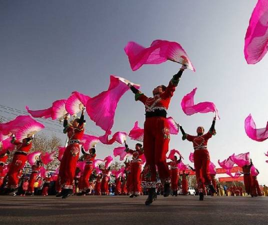 群众文化(社会性文化)