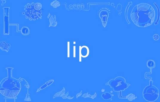 Lip（英文单词）