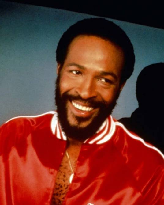 马文·盖伊（美国歌手）