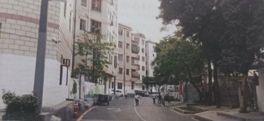 向西村(广东省深圳市龙华区观湖街道松元厦社区下辖村)