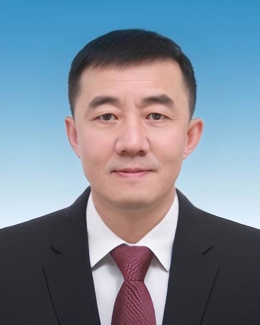 徐晖(天津市北辰区委副书记、区长)