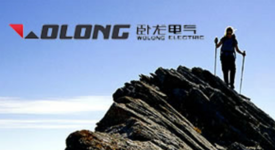 卧龙电气集团股份有限公司