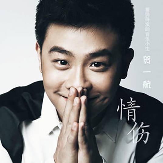 一个人的寂寞两个人的错（2012年贺一航演唱的歌曲）