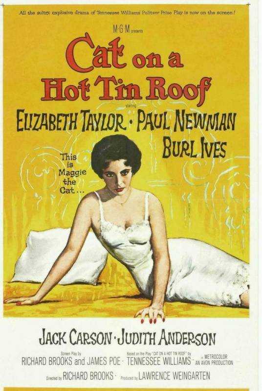 热铁皮屋顶上的猫(美国1958年理查德·布鲁克斯执导电影)