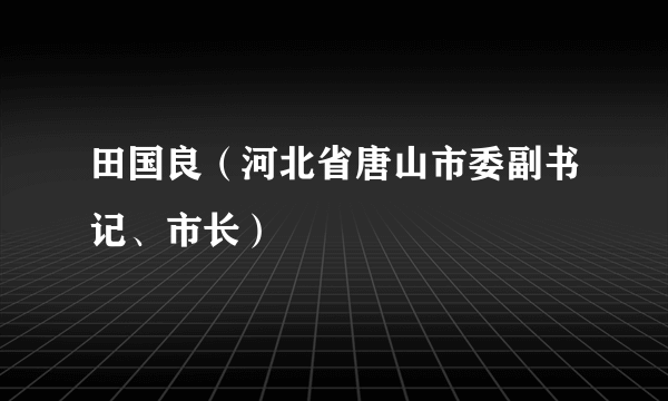 田国良（河北省唐山市委副书记、市长）
