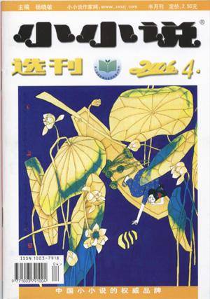 小小说选刊