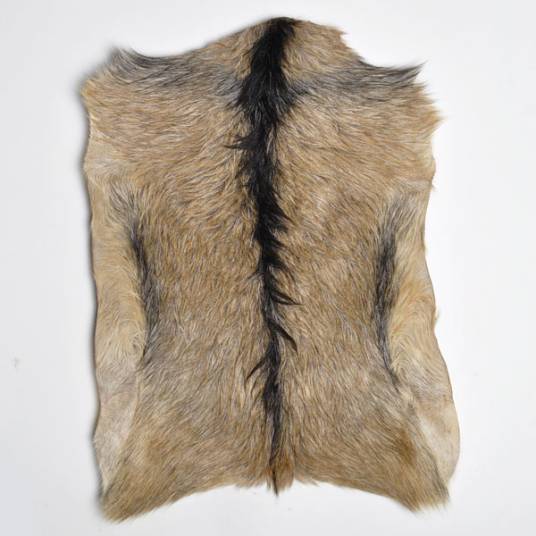 山羊皮(从山羊体剥下的皮毛)