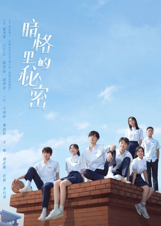 暗格里的秘密（2021年陈哲远、徐梦洁主演的青春校园网络剧）