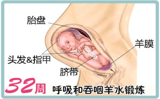 怀孕32周