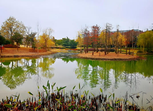 上海闵行文化公园