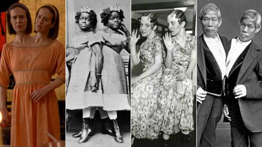 畸形秀(以反常现象或畸形生物为主题的展览)