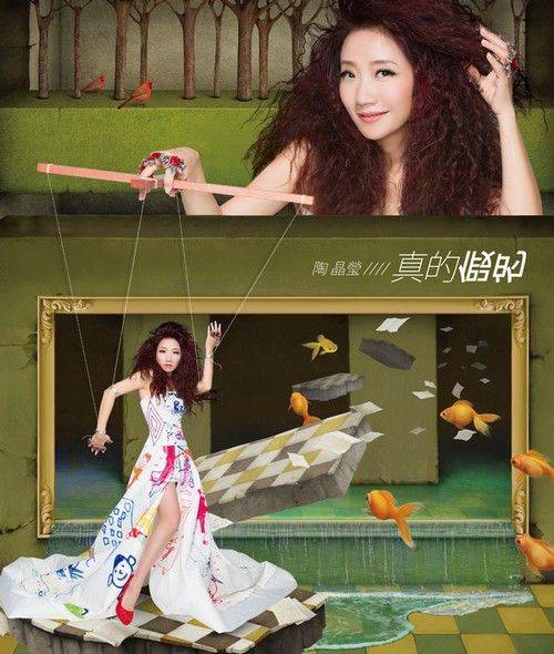 真的假的（陶晶莹演唱歌曲）