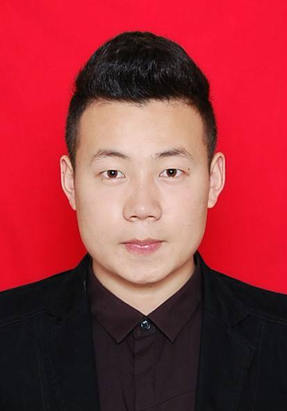 李子龙(分析师)