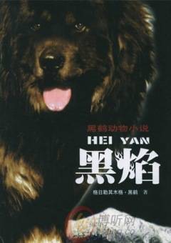 黑焰（2006年接力出版社出版的图书）