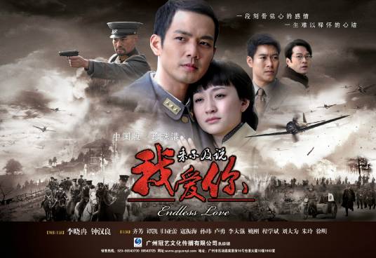 来不及说我爱你(2010年钟汉良、李小冉主演的年代情感剧)