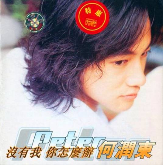 没有我你怎么办（1999年何润东演唱歌曲）