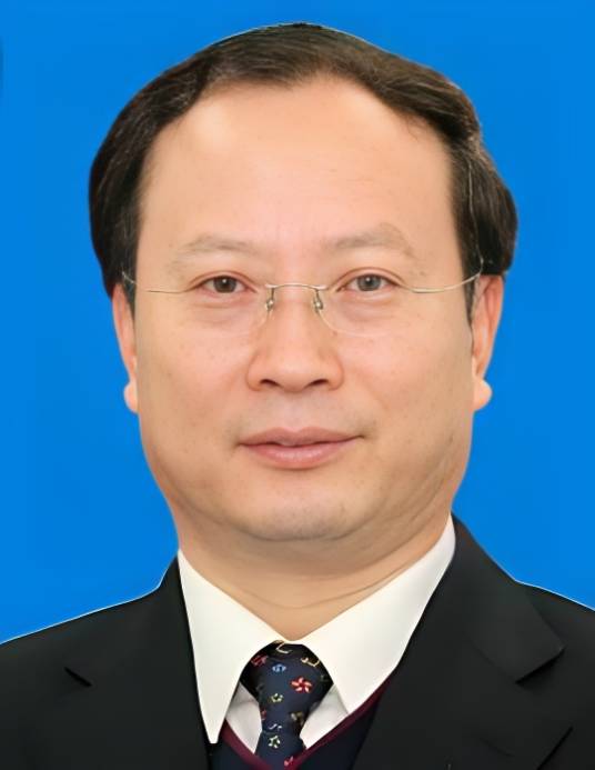 王保安(国家统计局原党组书记、局长)