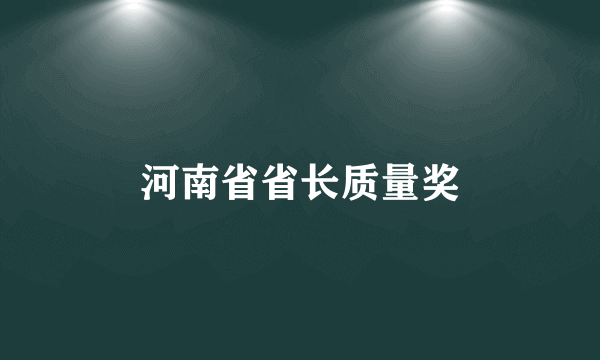 河南省省长质量奖