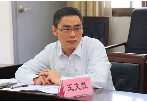 王文胜(湖南大学法学院副院长、教授)