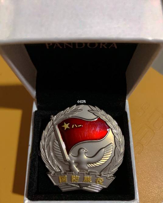 国防服役章(07式军装的服饰装饰物)