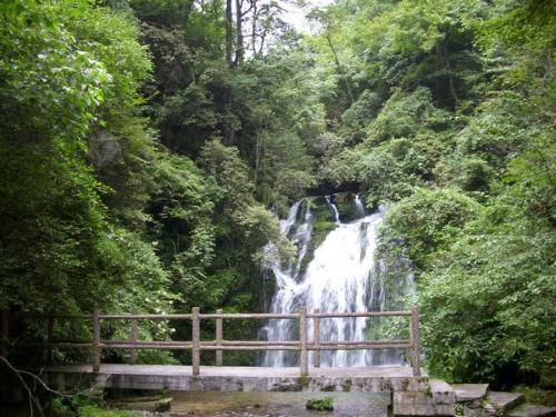 雷公山国家森林公园