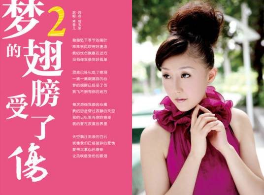 梦的翅膀受了伤（蒋雪儿演唱歌曲）