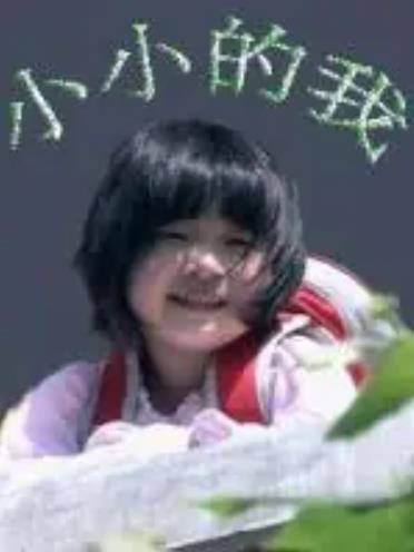 小小的我（2005年王心丽执导的儿童剧）