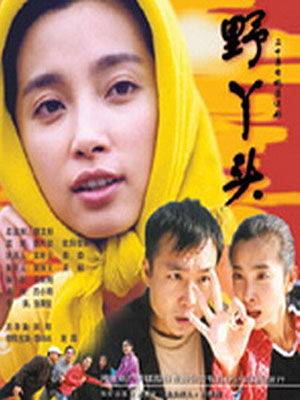 野丫头（张秉坚导演电视剧）