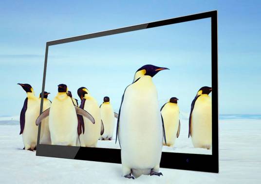 显示技术（视觉信息处理技术）