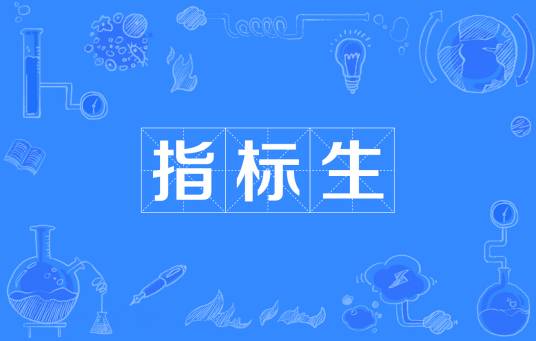 指标生