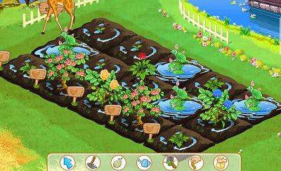 偷菜（网络交际类游戏）