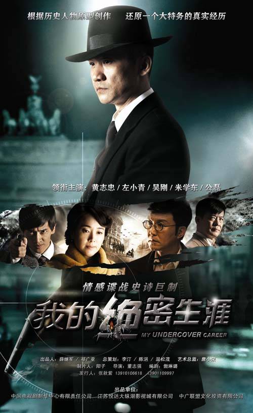 我的绝密生涯（2014年董志强执导的电视剧）