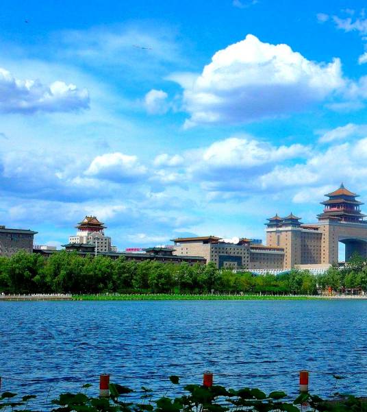 莲花池（北京市丰台区莲花池公园内湖泊）