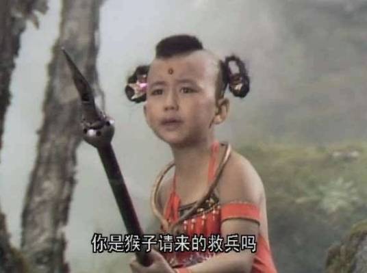 你是猴子请来的救兵吗（网络流行词）