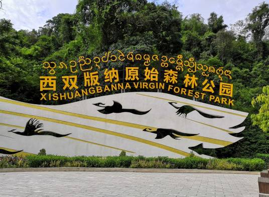西双版纳原始森林公园