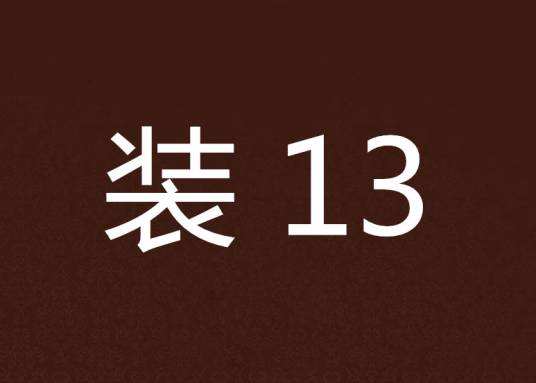 装13