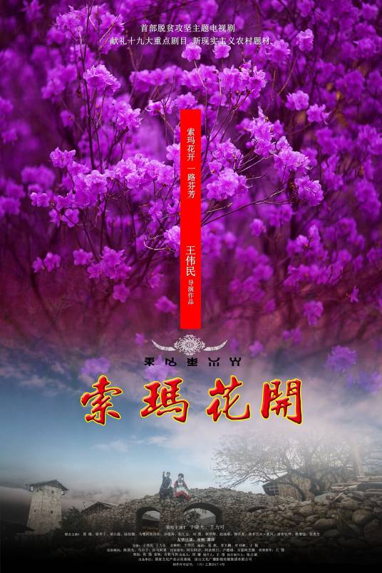 索玛花开(2017王伟民执导电视剧)